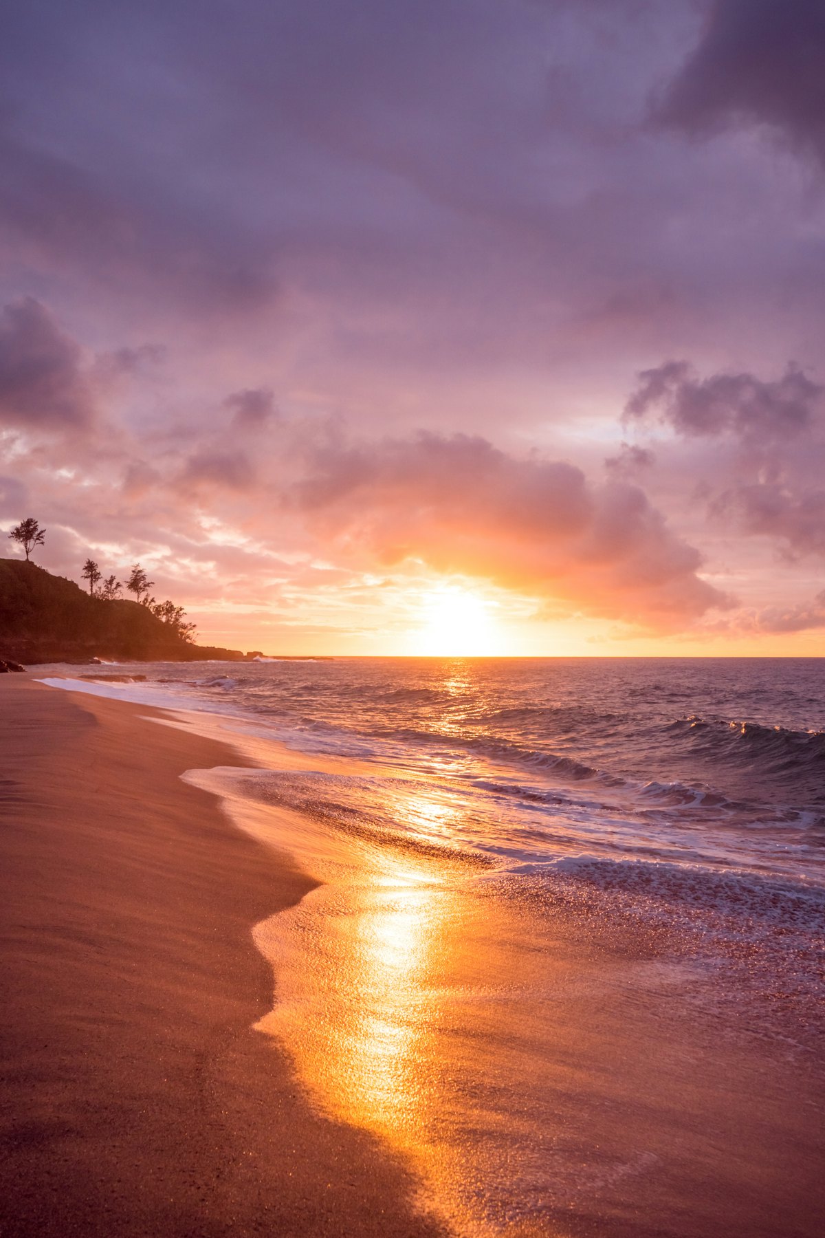 Tamarindo